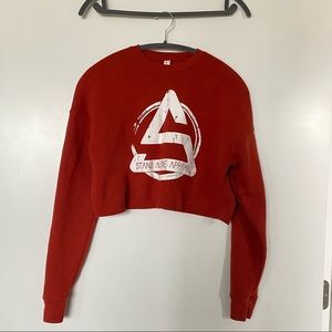 NWOT Stand Alone Apparel Cropped Sweatshirt - Bella Canvas